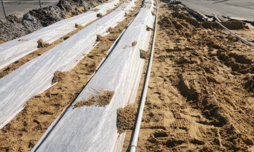commercial septic services tampa